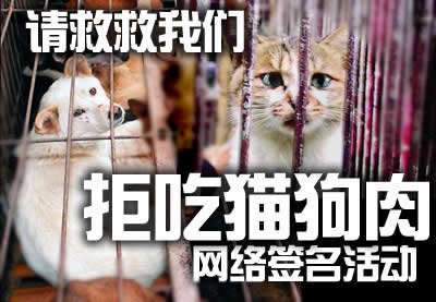 请救救我们，拒吃猫狗肉网络签名活动